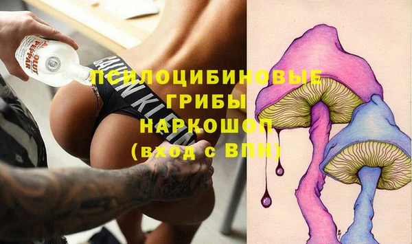 крисы Армянск
