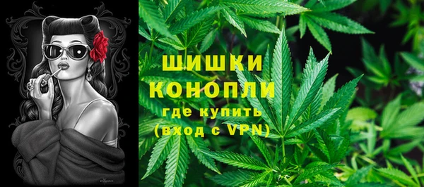 крисы Армянск