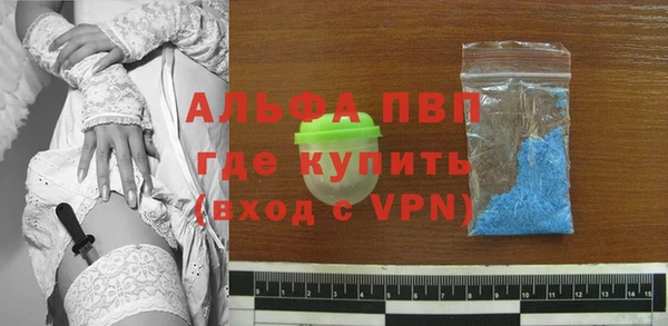 крисы Армянск