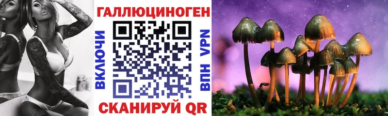 Псилоцибиновые грибы GOLDEN TEACHER Певек